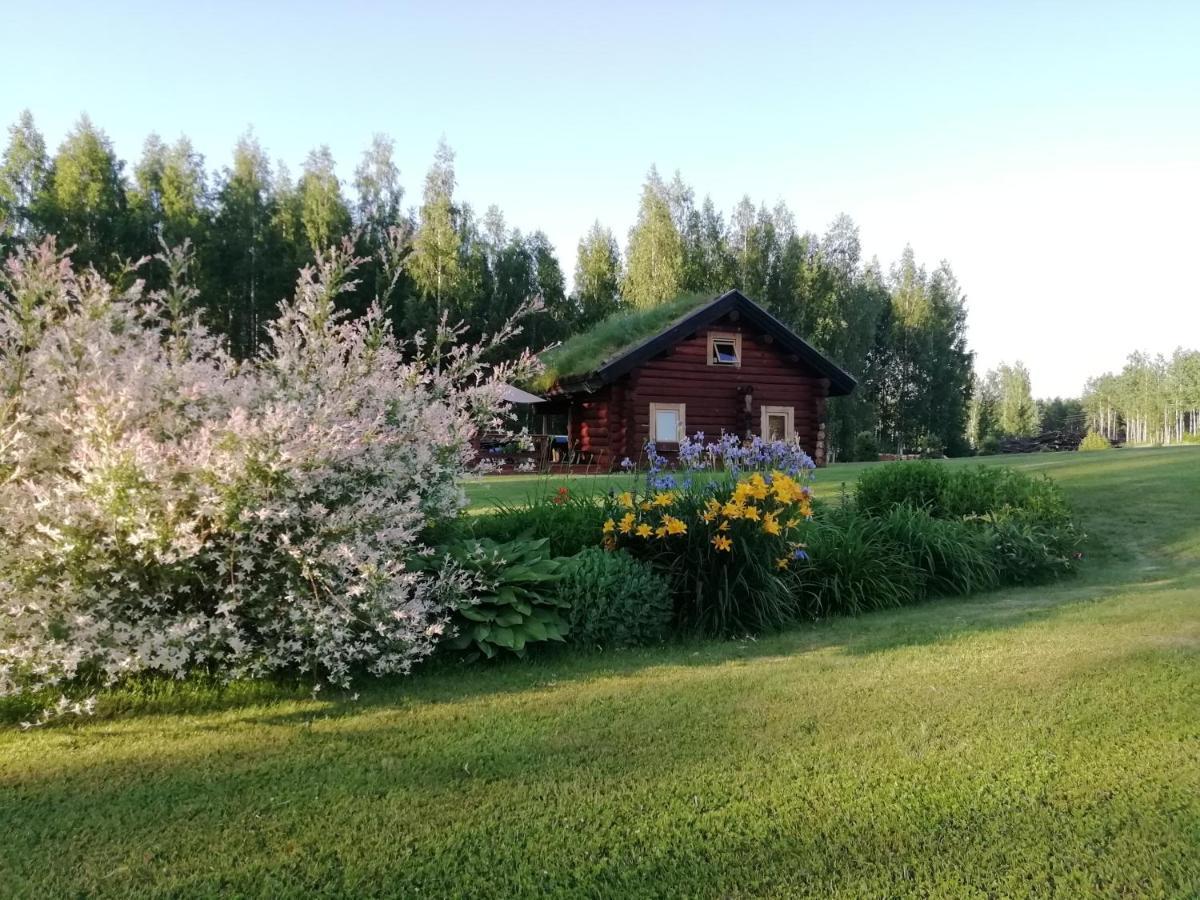فيلا Paeikseranna Holiday Centre Nedsaja المظهر الخارجي الصورة